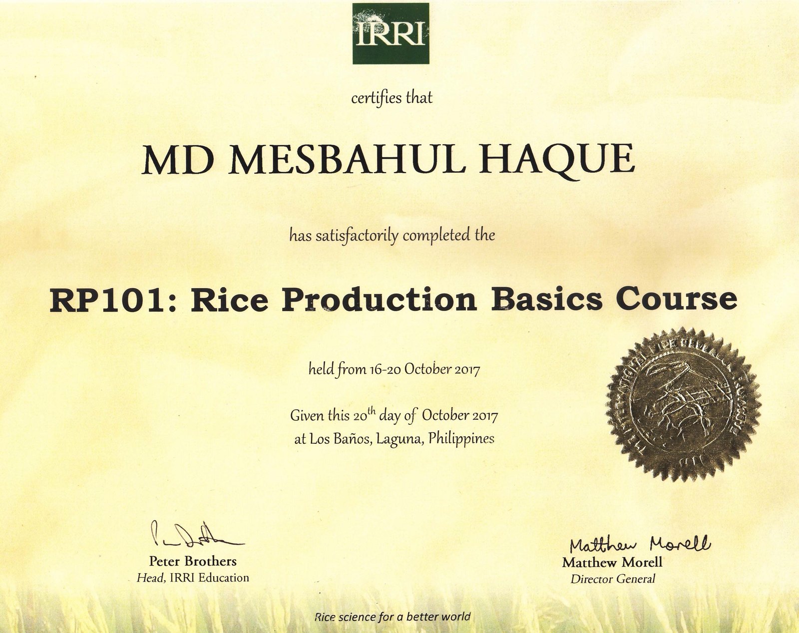 IRRI HQ Certificate for RP-101